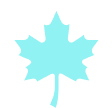 maple leaf surrounded by a white circle, signifying canadian travel